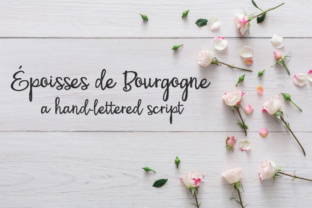 PN Époisses De Bourgogne: A Script Font for Branding Magic